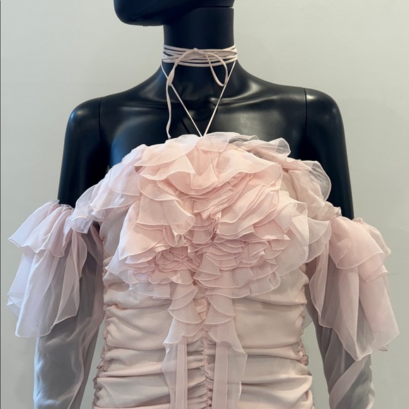 Magda Butrym Silk Corset Mini Dress Blush Pink | Built-In Corset | NEW 36/S - Picture 8 of 16